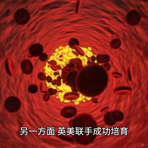 《暗黑破坏神:不朽》2024玩家调研揭秘,深度解析感恩共创新篇章 《暗黑破坏神:不朽》2024玩家调研揭秘,深度解析感恩共创新篇章