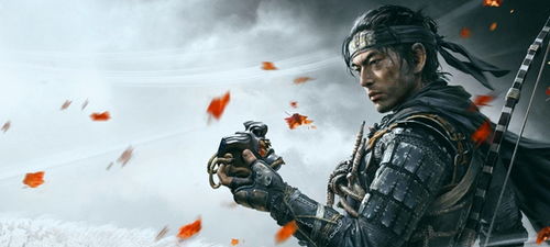 《对马岛之魂》导演剪辑版启动报错？速看独家修复攻略！