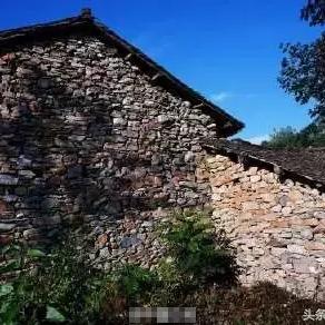 奇蛋生物石头岛布局攻略：揭秘高效策略，打造完美游戏体验