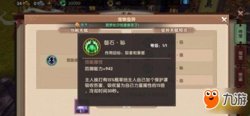 晴空之下维兹攻略：深度养成技巧解锁，助你轻松登顶巅峰