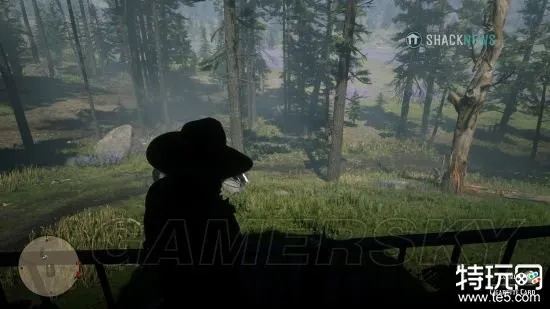 荒野大镖客2北美野植卡位置揭秘!轻松找到野植香烟卡攻略指南 荒野大镖客2北美野植卡位置揭秘!轻松找到野植香烟卡攻略指南