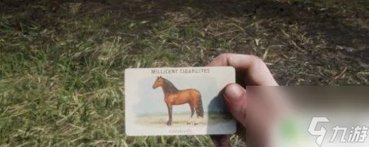 荒野大镖客2名驹鉴赏卡攻略:快速定位获取香烟卡技巧揭秘 荒野大镖客2名驹鉴赏卡攻略:快速定位获取香烟卡技巧揭秘