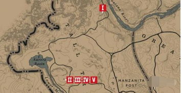 《荒野大镖客2》美国炼狱任务攻略：深度解析，轻松通关秘籍大公开