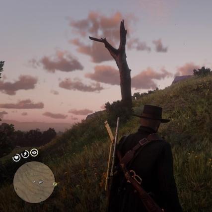 荒野大镖客2藏宝图3精准位置揭秘！高效攻略助你一臂之力