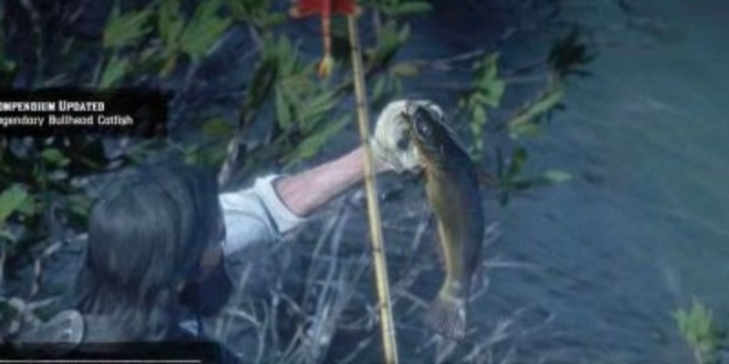 荒野大镖客2传说钳鱼精准位置揭秘!高效攻略助你轻松捕获 荒野大镖客2传说钳鱼精准位置揭秘!高效攻略助你轻松捕获