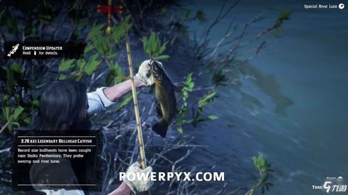 荒野大镖客2褐首鲇藏匿地点揭秘!高效攻略助你轻松捕获 荒野大镖客2褐首鲇藏匿地点揭秘!高效攻略助你轻松捕获