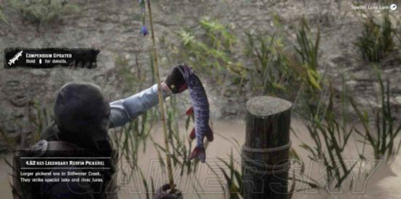 荒野大镖客2传说暗色狗鱼速寻攻略,解锁隐藏珍稀鱼类技巧揭秘 荒野大镖客2传说暗色狗鱼速寻攻略,解锁隐藏珍稀鱼类技巧揭秘