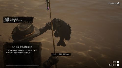 荒野大镖客2寻蓝鳃太阳鱼秘境攻略，解锁传说鱼类新玩法