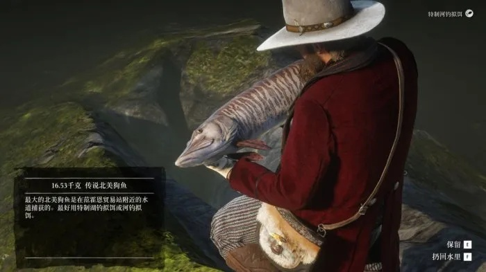 荒野大镖客2北美狗鱼藏匿点揭秘,传说位置攻略全解析 荒野大镖客2北美狗鱼藏匿点揭秘,传说位置攻略全解析