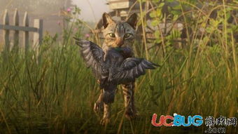 荒野大镖客2寻传世大口黑鲈秘境攻略，解锁钓鱼新境界