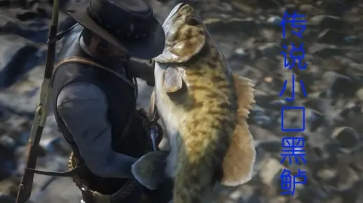 荒野大镖客2寻传说小口黑鲈秘境攻略，解锁隐藏珍宝位置技巧