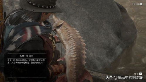 荒野大镖客2传说湖鲟精准位置揭秘！高效攻略助你轻松捕获