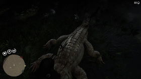 荒野大镖客2传说长吻雀鳝藏匿秘境，独家攻略助你一网打尽