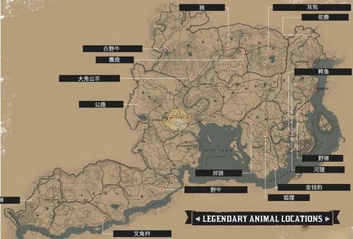 荒野大镖客2寻传说叉角羚攻略：解锁神秘位置技巧揭秘