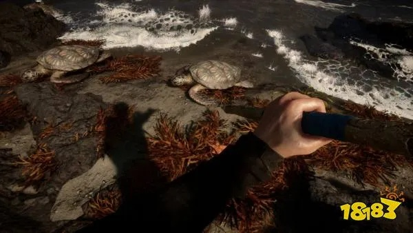 《森林之子》全特效畅玩必备!揭秘超高性能配置攻略 《森林之子》全特效畅玩必备!揭秘超高性能配置攻略