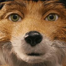 《消逝光芒》开局必备!野兽技能MOD教学攻略大揭秘 《消逝光芒》开局必备!野兽技能MOD教学攻略大揭秘