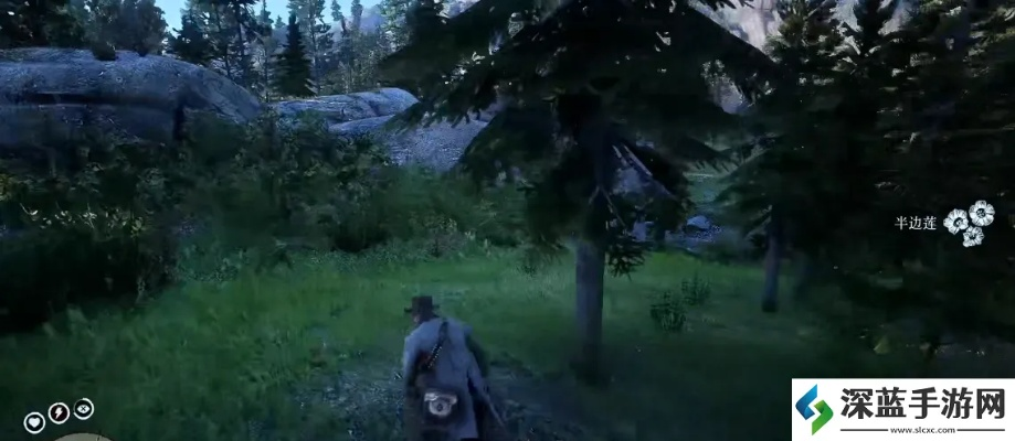 荒野大镖客2草药大师6挑战攻略:高效通关秘籍大揭秘 荒野大镖客2草药大师6挑战攻略:高效通关秘籍大揭秘