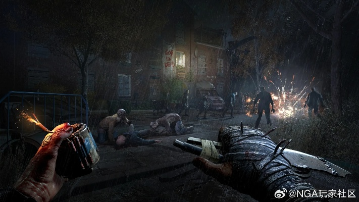 《消逝光芒》兑换码攻略：轻松解锁困兽宝藏秘籍