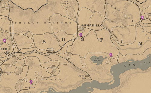 荒野大镖客2土匪9挑战攻略：高效通关技巧揭秘