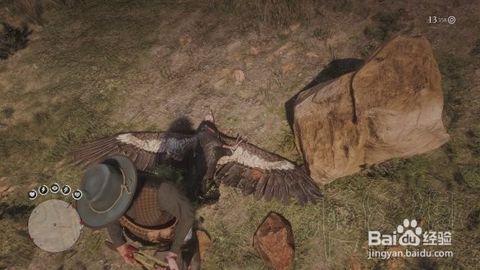 荒野大镖客2捕猎大师5挑战攻略:高效技巧解锁秘籍 荒野大镖客2捕猎大师5挑战攻略:高效技巧解锁秘籍