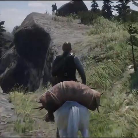 荒野大镖客2捕猎大师2挑战攻略：高效捕猎技巧解析秘籍