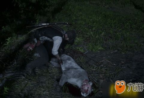 荒野大镖客2捕猎大师挑战攻略：解锁高级狩猎技巧秘籍