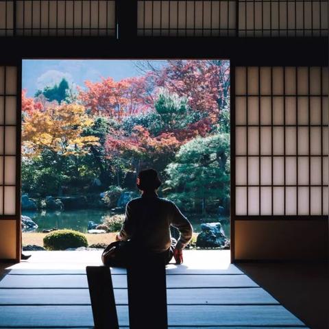 八方旅人2森林指路牌任务攻略：高效通关秘籍，解锁神秘路径