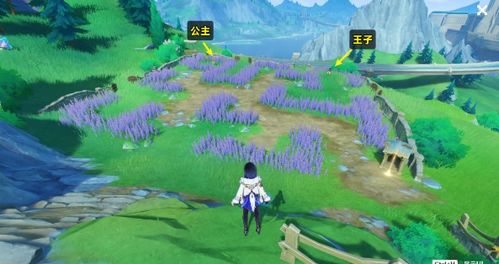 原神草地花海攻略：轻松解锁任务新境界