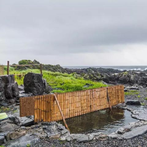 破解海龟汤谜题：五大经典故事解析及独家攻略揭秘