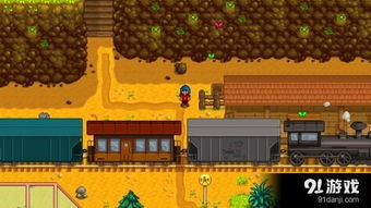 《星露谷物语》闪退崩溃?独家修复秘籍,告别卡顿! 《星露谷物语》闪退崩溃?独家修复秘籍,告别卡顿!