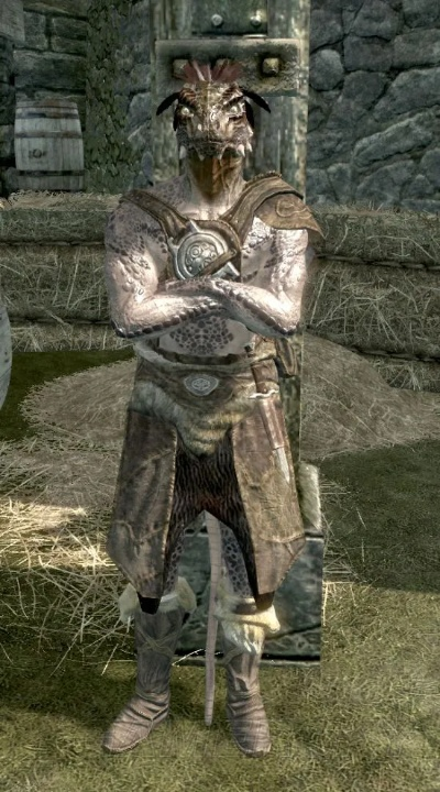 上古卷轴5亚龙人攻略：高效玩法技巧揭秘，轻松掌控战斗优势