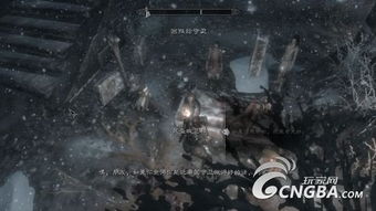 上古卷轴5冰上之血任务攻略：高效完成秘境探险指南