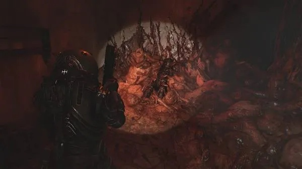 《时间旅者重生曙光》全灵髓秘境探秘攻略，高效收集技巧大揭秘