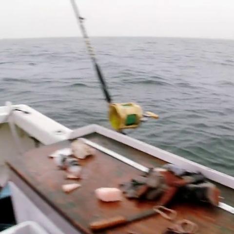 《潜水员戴夫》金枪鱼盛宴攻略:揭秘最佳菜品选择技巧 《潜水员戴夫》金枪鱼盛宴攻略:揭秘最佳菜品选择技巧