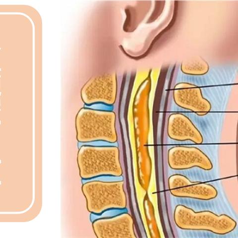 《空洞骑士丝之歌》MOD下载：快速传送功能助你畅游游戏世界