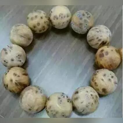 《空洞骑士》丝之歌蘑菇先生隐藏任务攻略:揭秘见证位置,轻松解锁新玩法 《空洞骑士》丝之歌蘑菇先生隐藏任务攻略:揭秘见证位置,轻松解锁新玩法