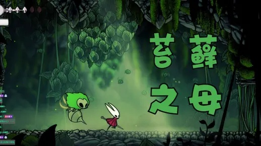 《空洞骑士丝之歌》苔母攻略：高效苔母打法技巧解析