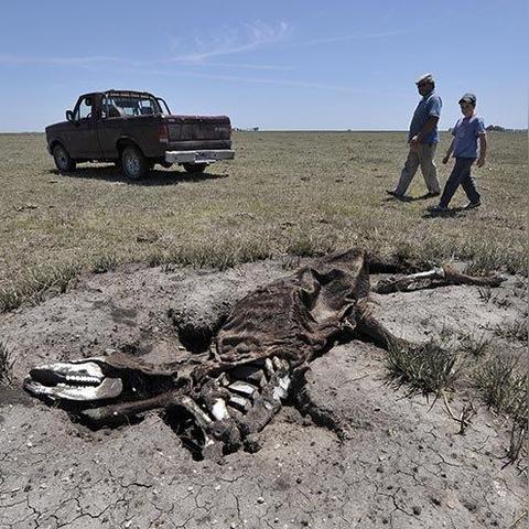 四季丰收指南:揭秘《牧场物语风之繁华集市》最佳作物攻略 四季丰收指南:揭秘《牧场物语风之繁华集市》最佳作物攻略