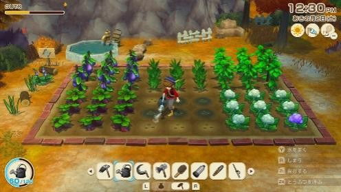 《牧场物语风之繁华集市》独家揭秘：轻松召唤啦啦队攻略大公开