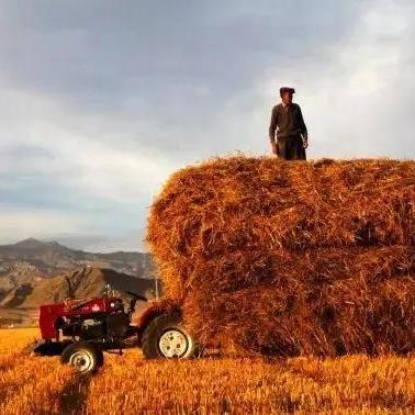 《地狱即我们》超值购入攻略：揭秘低价购买渠道