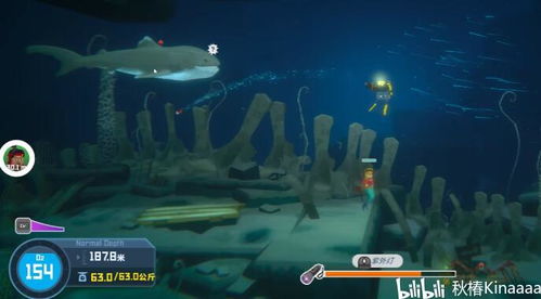 《潜水员戴夫》独门攻略：轻松捕获甘氏巨螯蟹秘籍大公开