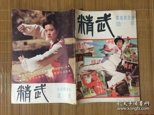 醉拳客实战技巧揭秘：《燕云十六声》高效打法攻略解析