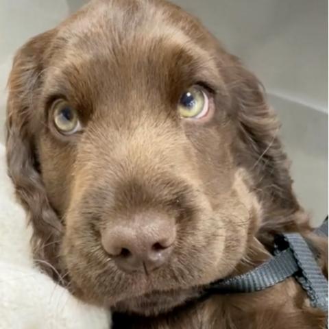 《失落之魂》全攻略揭秘：深度解析全流程，解锁隐藏技巧！