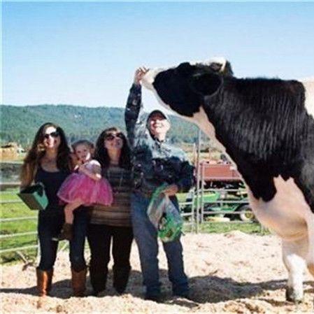 《泰坦之旅2》寻牛秘籍：揭秘消失牛群藏身之地攻略