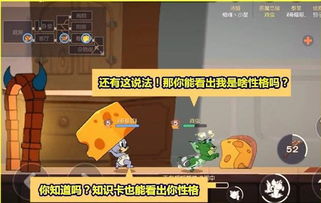 邦戈猫桌宠自动换装攻略：轻松实现个性装扮新体验