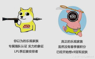 Bongocat桌宠皮肤大揭秘：轻松换装，个性无限！