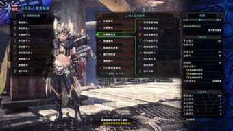 《怪物猎人荒野》1.021重弩最强搭配攻略：揭秘重弩配装绝密技巧