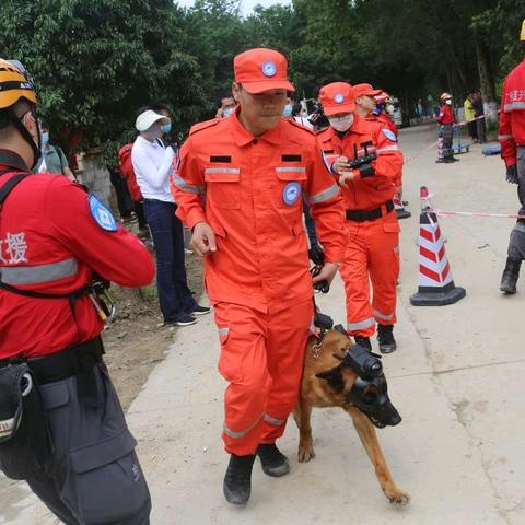 《极速营救》全章节攻略:高效选择流程揭秘,轻松通关秘籍! 《极速营救》全章节攻略:高效选择流程揭秘,轻松通关秘籍!