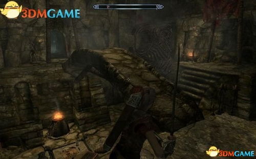 《上古卷轴4重制版》杀戮场攻略：高效完成支线任务技巧揭秘