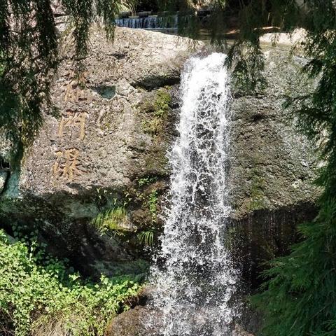 《猫猫钓游记》攻略：独家赚钱秘籍，钓游双丰收